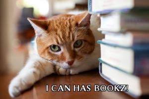 Un chat allongé à côté d'une pile de livres