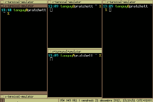Screenshot of the wmii window manager
